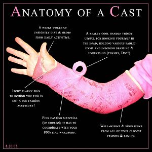 Anatomy of a Cast