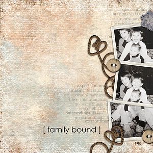 family bound - spotlight designs by lili