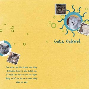 Copycat from Cynthiacozumel - Cats Galore