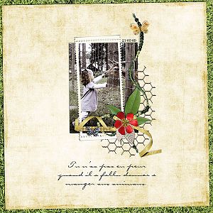 summerfields_page_2