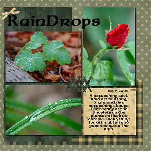 Raindrops