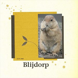 Blijdorp