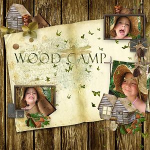 wood camp