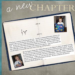 Vicki Stegall's DS-A New Chapter