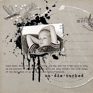 Undisturbed