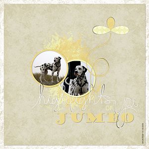 Highligts of Jumbo