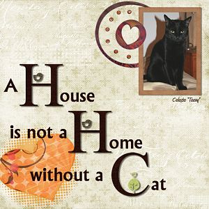 A Home With Cats (1)