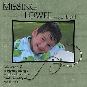 Missing Towel