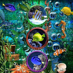 Dream Aquarium - "Sally - DS"