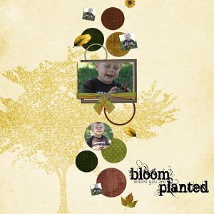 CopyCat Challenge:  Bloom