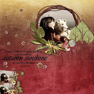 autumn_sunshine