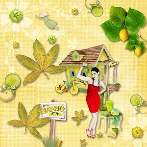 Lemon Lime Spritzer1