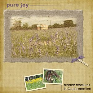 pure joy - hidden treasures
