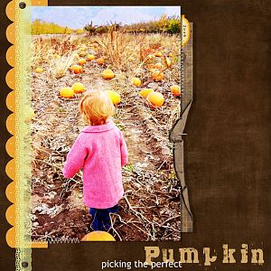 Picking The Perferct Pumpkin
