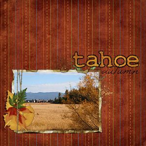 Tahoe Autumn