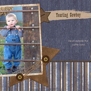 Yearling Cowboy