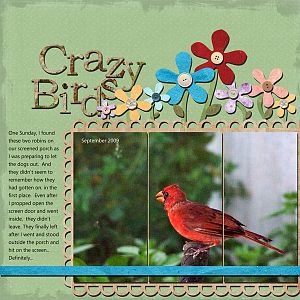 Crazy Birds - Left