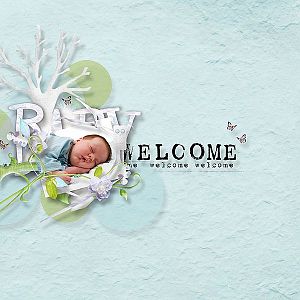 welcome_baby1