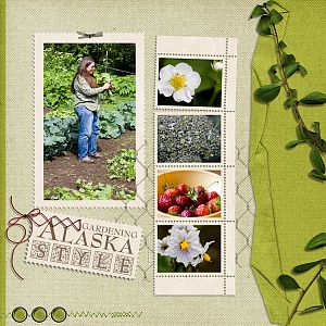 Alaska Garden