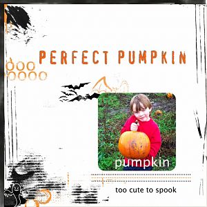 Perfect Pumpkin