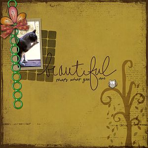 Beautiful You Are_grid DS
