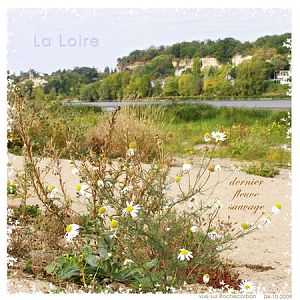 La Loire