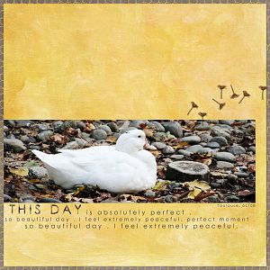 This day