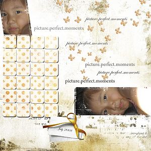 Picture Perfect Moments