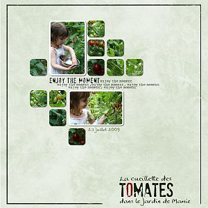 tomates