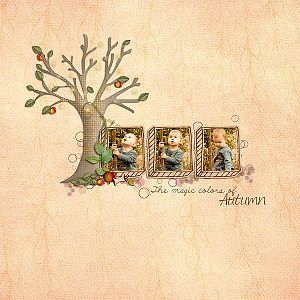 apple blossom