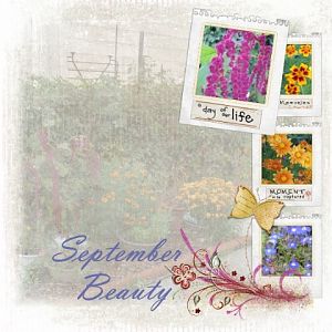 September Beauty