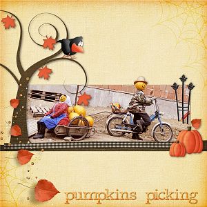 Pumpkins Picking