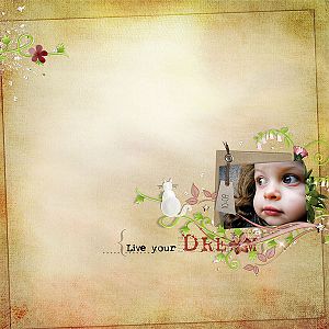 live your dream