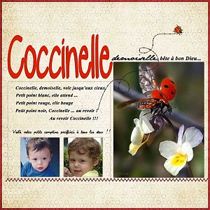 Coccinelle