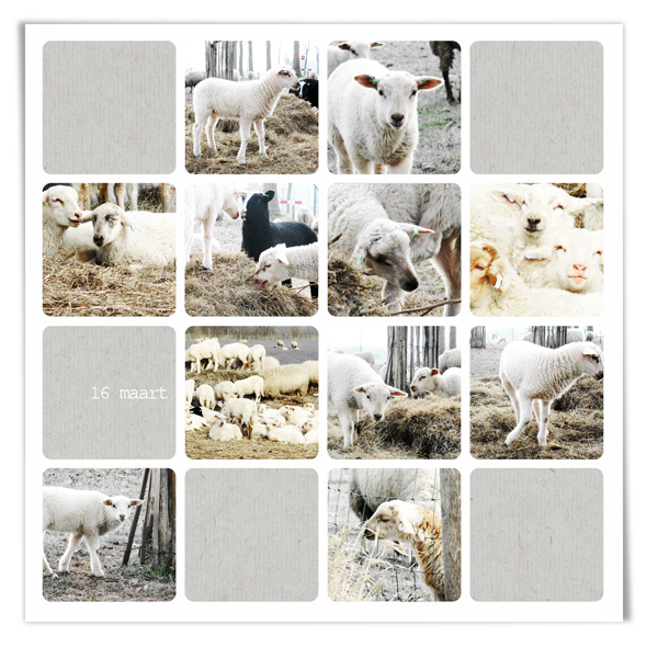 034 life is a journey LP