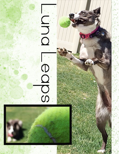 05-02-16_Template Challenge_Luna Leaps