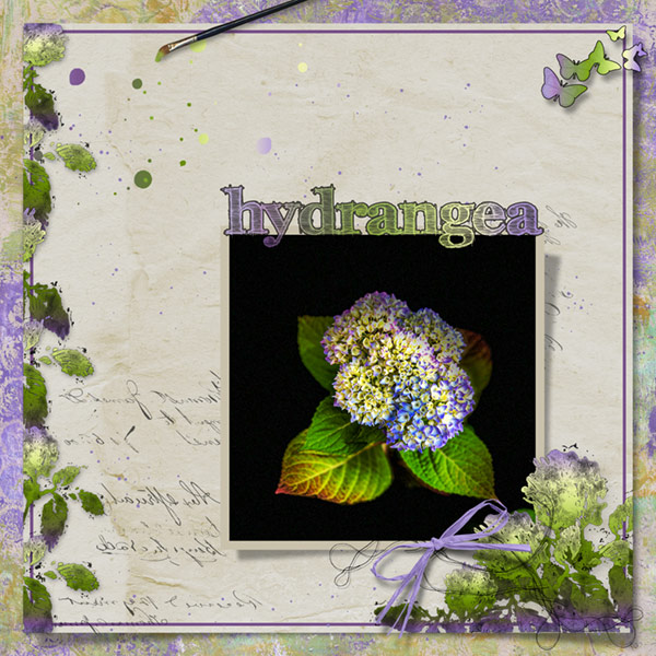 09-22_Shadowing_Hydrangea.jpg