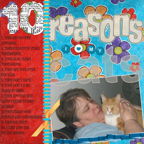 10 reasons I love my cats