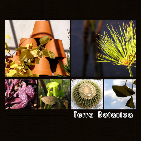 10_11_01_Terra_Botanica_6_F
