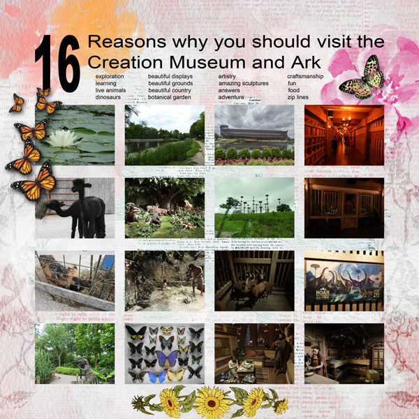 16 Reasons