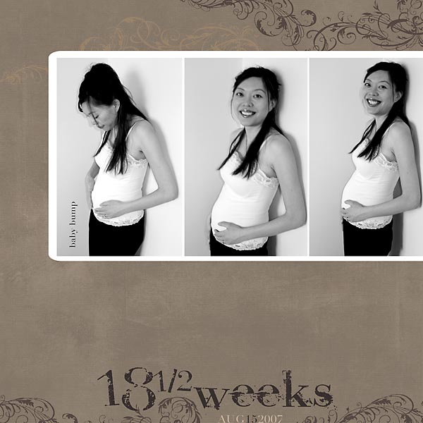 18 1/2 Weeks