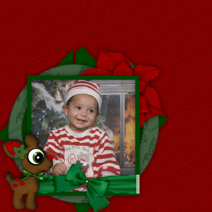 1st Christmas Picture