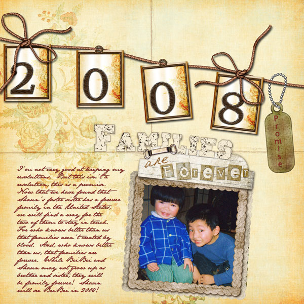 2008 Promise