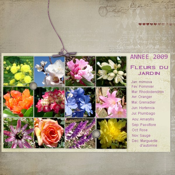 2009 - Flowers Garden
