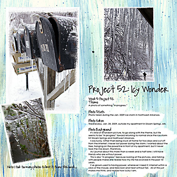 2009 - January -  Project 52 - wk 5