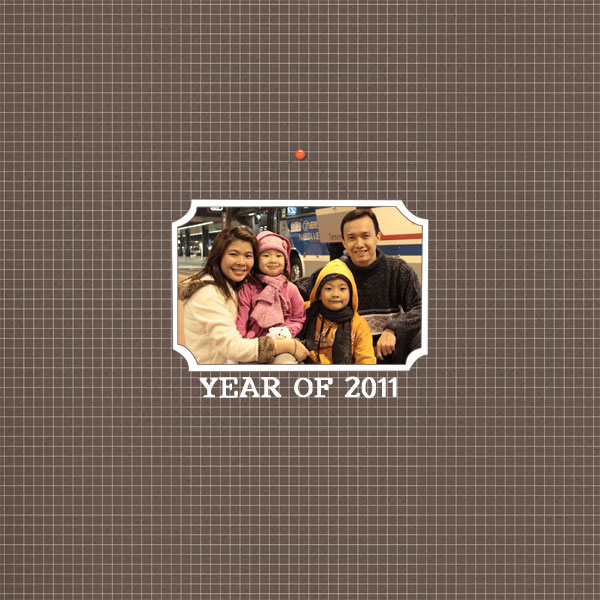 2011 Cover Album