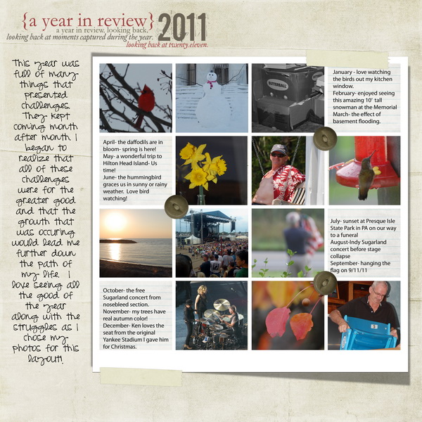 2011 review