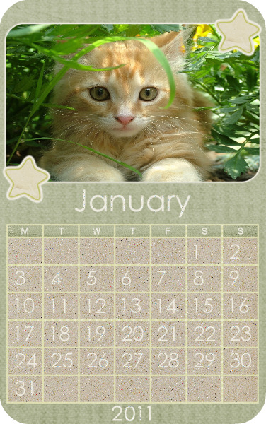 2011 Wallet Calendar!