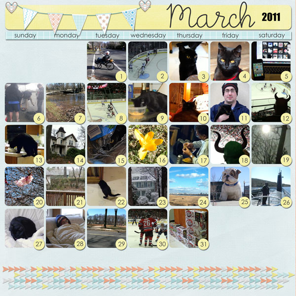 2011Mar MOP (month of photos)