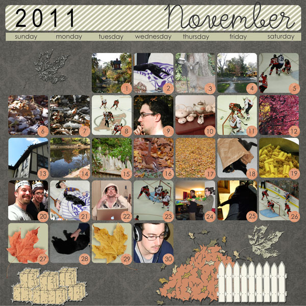 2011Nov MOPs (month of photos)